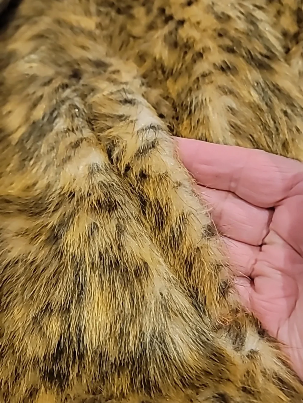BHS Women's Faux Fur Teddy Coat - Brown Leopard Print Large